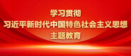 大鸡巴啪啪视频学习贯彻习近平新时代中国特色社会主义思想主题教育_fororder_ad-371X160(2)